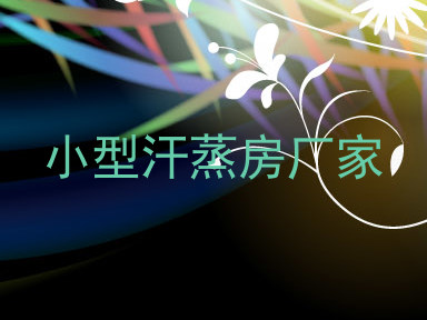 小型汗蒸房厂家