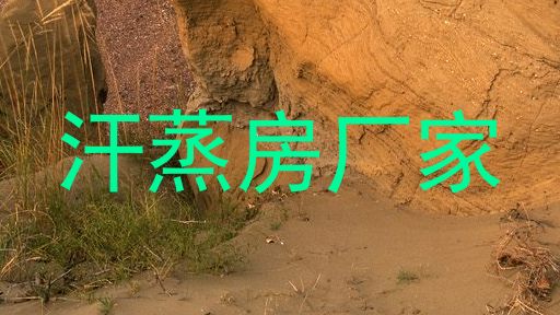 汗蒸房厂家