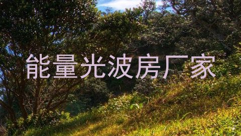 能量光波房厂家