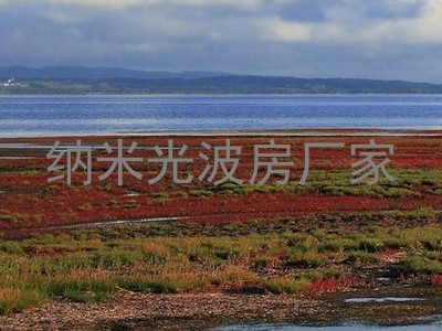 纳米光波房厂家
