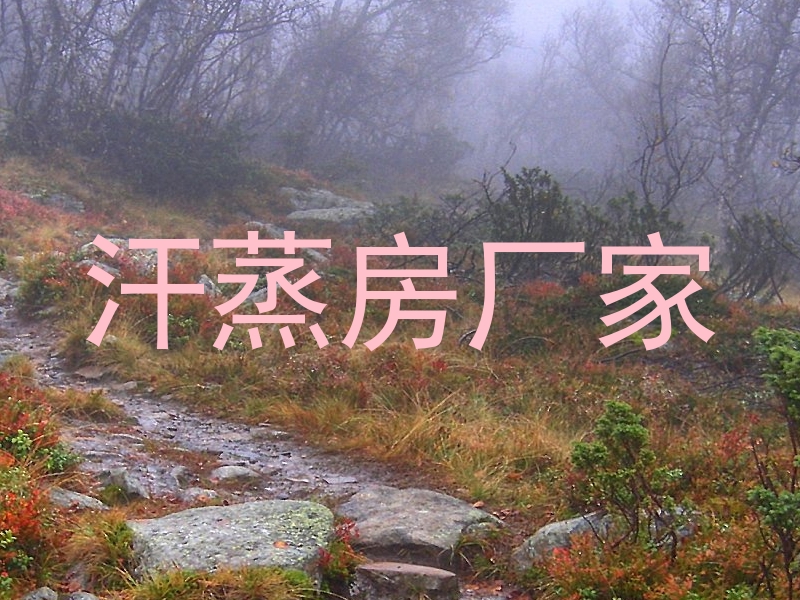 汗蒸房厂家