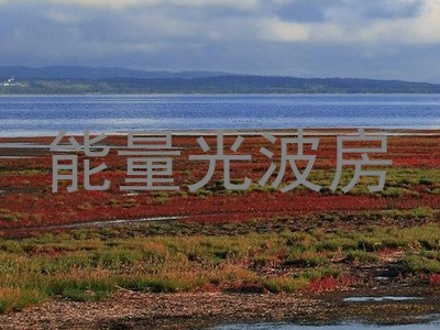 能量光波房