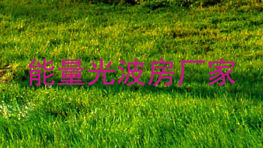 能量光波房厂家