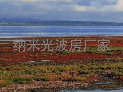 纳米光波房厂家
