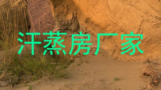 汗蒸房厂家