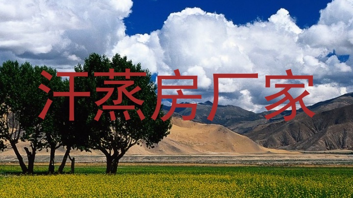 汗蒸房厂家