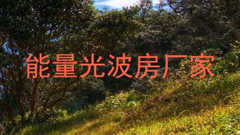 能量光波房厂家