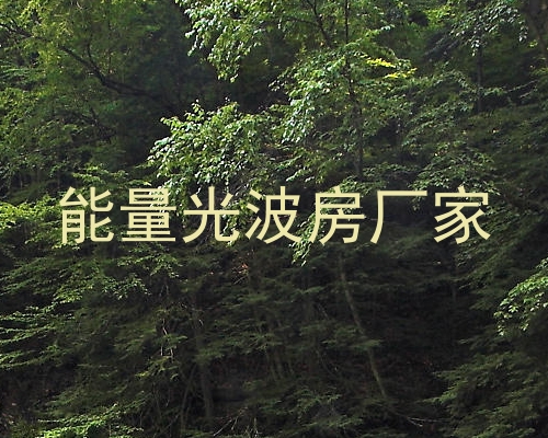 能量光波房厂家