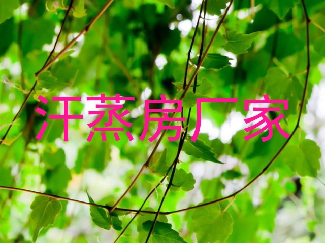 汗蒸房厂家
