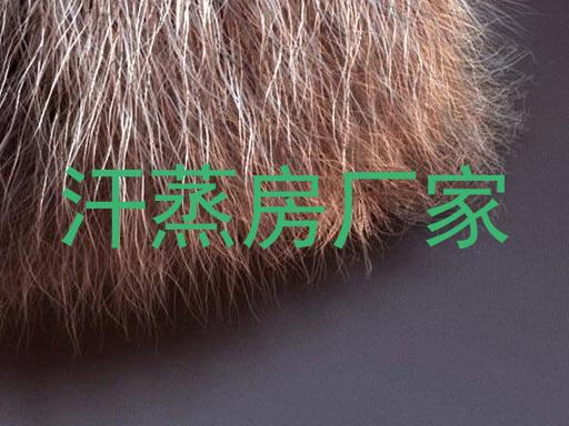 汗蒸房厂家