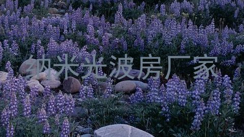 纳米光波房厂家