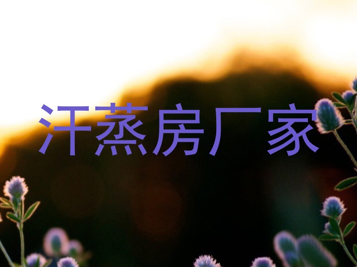 汗蒸房厂家