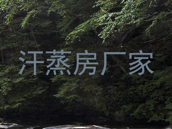 汗蒸房厂家