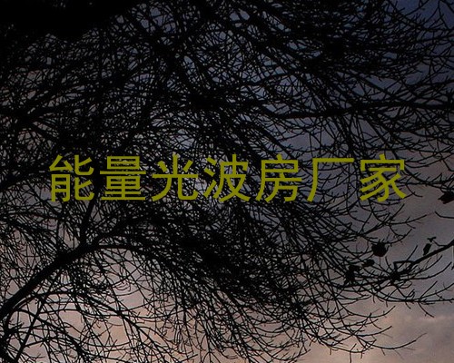 能量光波房厂家