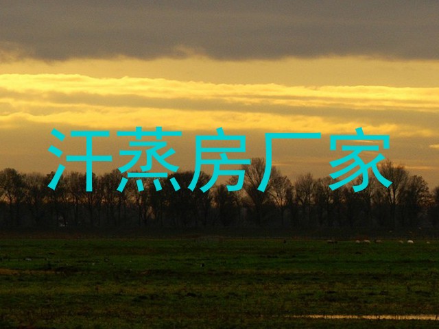 汗蒸房厂家