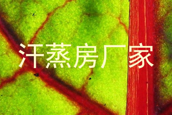 汗蒸房厂家