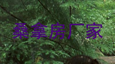 桑拿房厂家