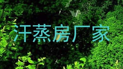 汗蒸房厂家