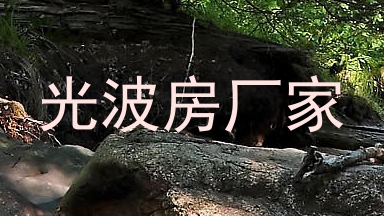 光波房厂家