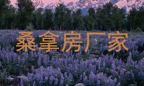 桑拿房厂家
