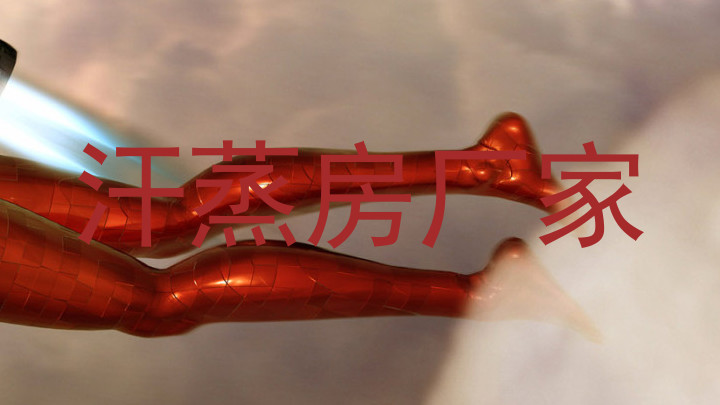 汗蒸房厂家