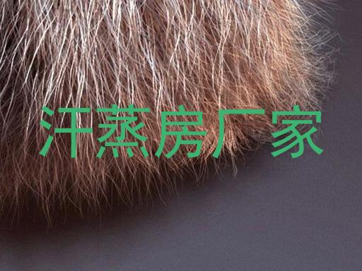 汗蒸房厂家