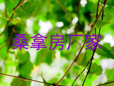 桑拿房厂家