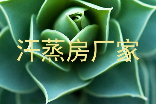 汗蒸房厂家