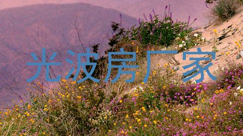 光波房厂家