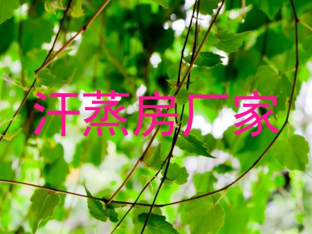 汗蒸房厂家