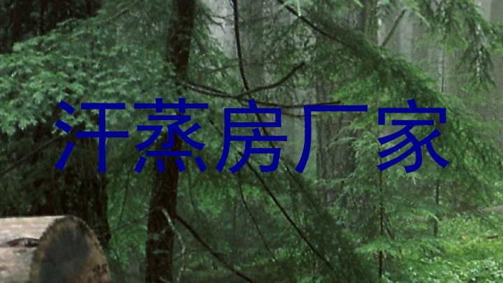 汗蒸房厂家
