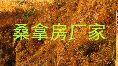 桑拿房厂家