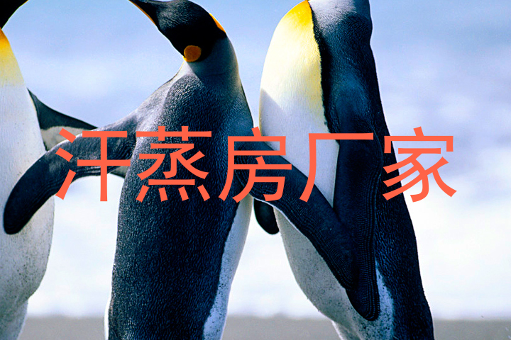 汗蒸房厂家