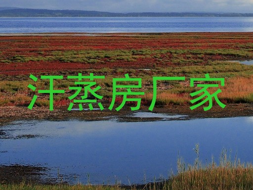 汗蒸房厂家