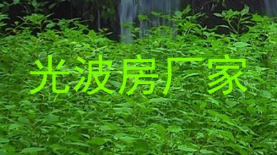 光波房厂家