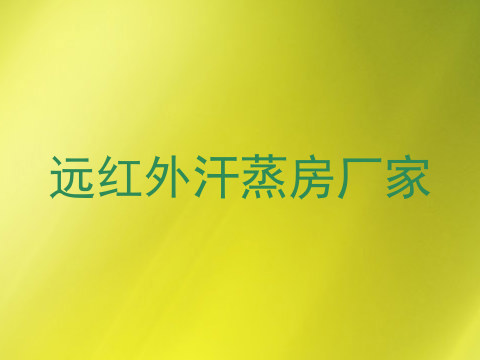 远红外汗蒸房厂家