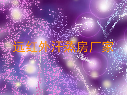远红外汗蒸房厂家