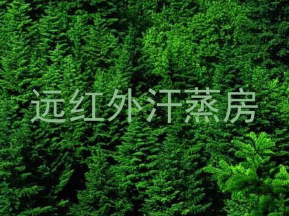 远红外汗蒸房