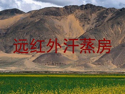 远红外汗蒸房