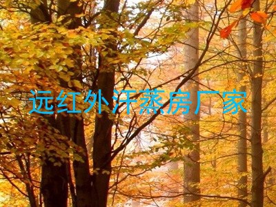 远红外汗蒸房厂家