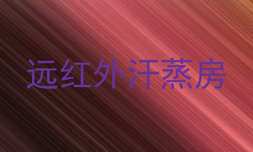 远红外汗蒸房