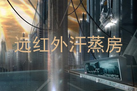 远红外汗蒸房