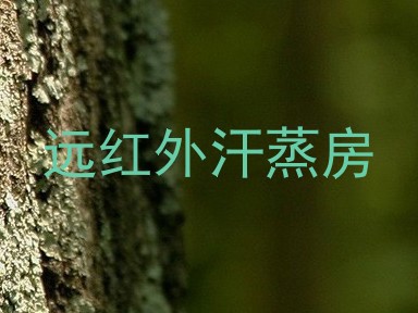 远红外汗蒸房