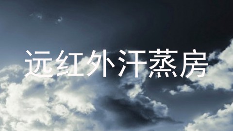 远红外汗蒸房