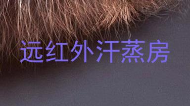 远红外汗蒸房