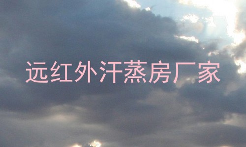远红外汗蒸房厂家