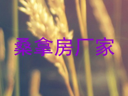 桑拿房厂家