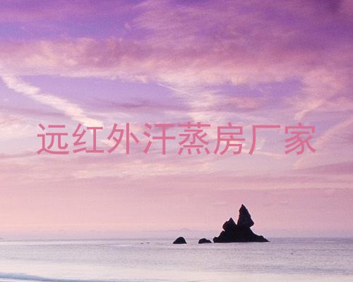 远红外汗蒸房厂家