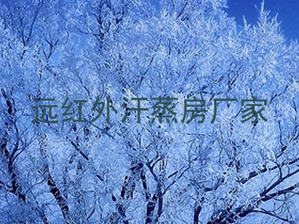 远红外汗蒸房厂家