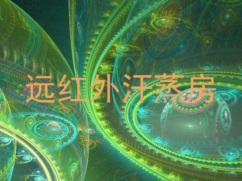 远红外汗蒸房